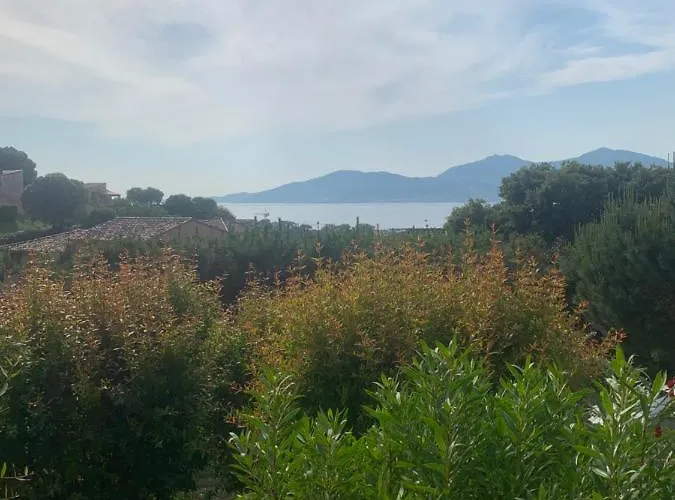 Marcu Vue * 波尔蒂乔